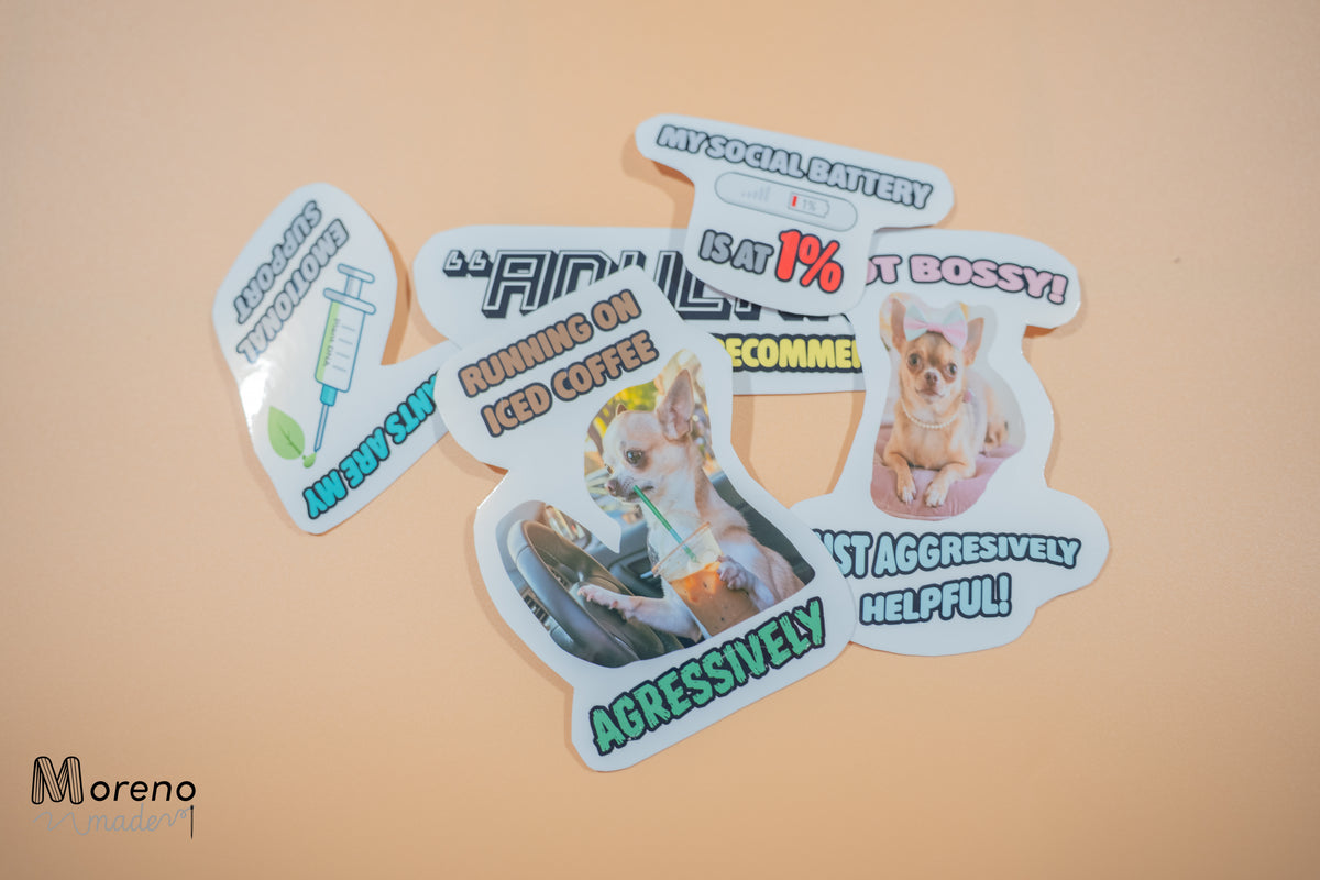Sticker Collection - Jokes and MEMEs V1 (5 stickers one price)