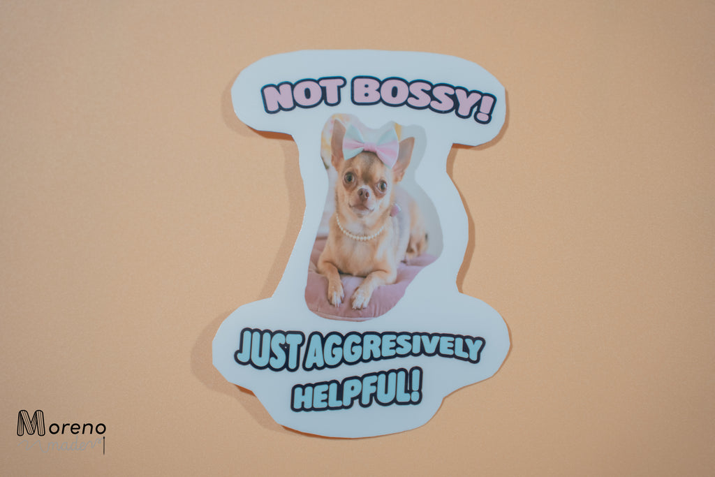 Sticker Collection - Jokes and MEMEs V1 (5 stickers one price)