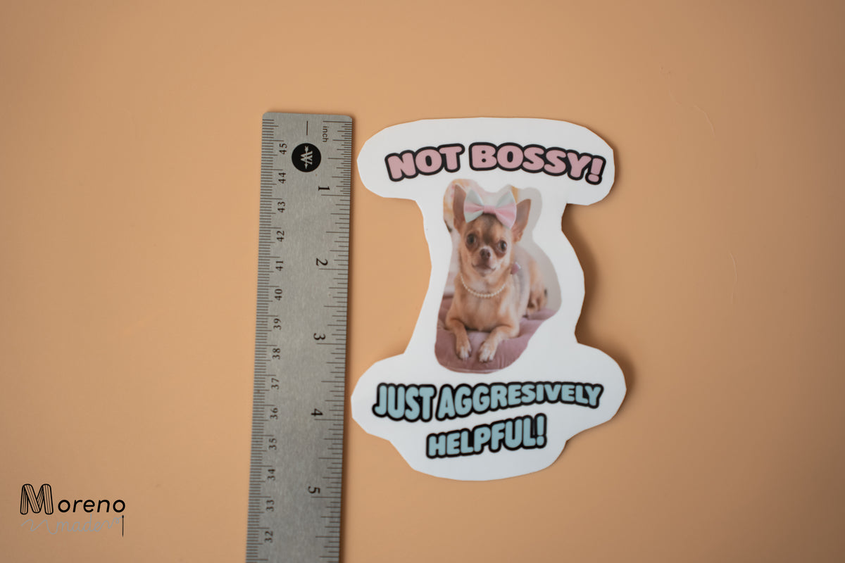"Not bossy just aggresively helpful!" Sticker