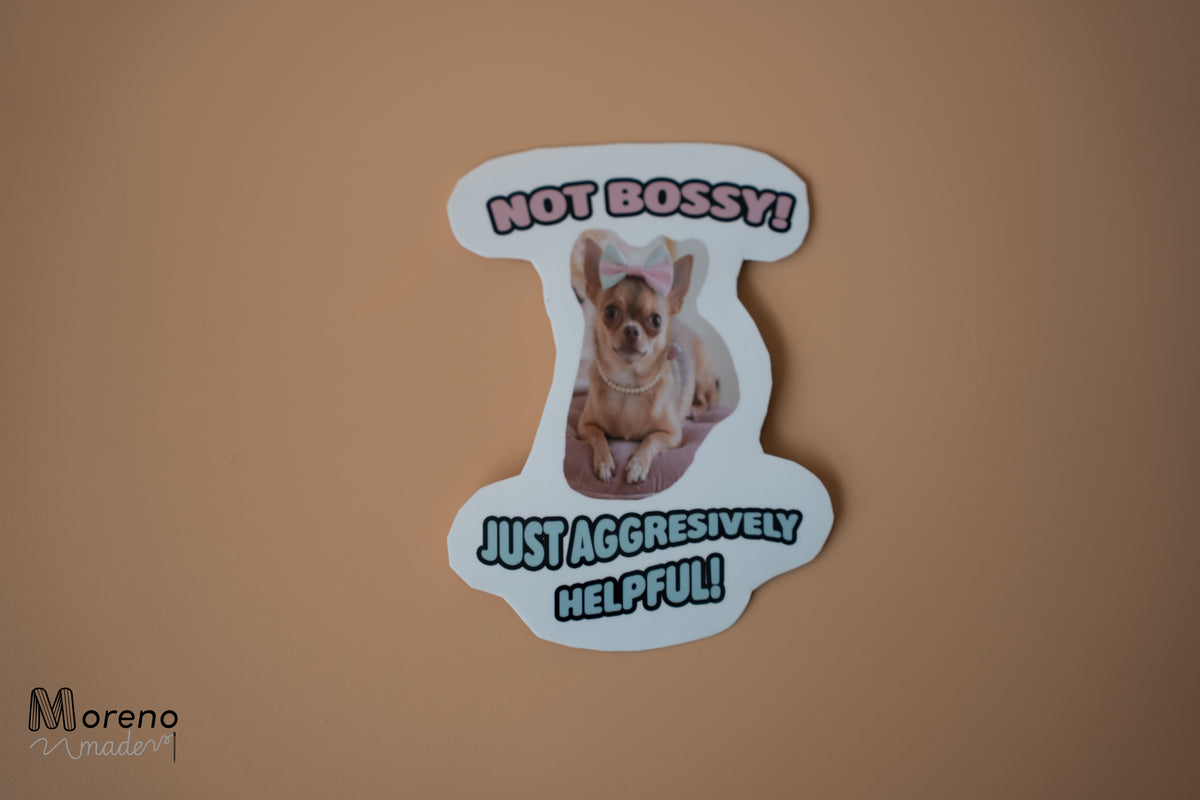 "Not bossy just aggresively helpful!" Sticker