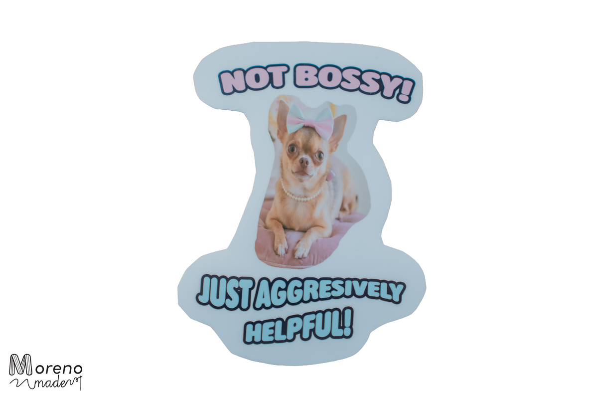 "Not bossy just aggresively helpful!" Sticker